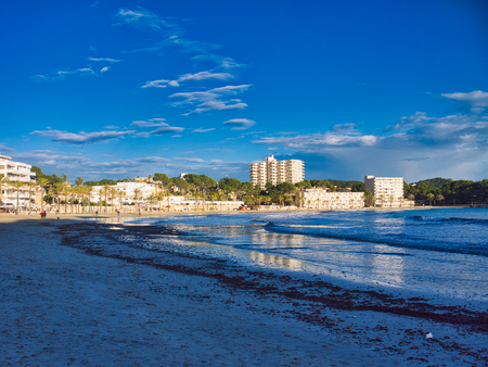 beach in peguera townの写真素材