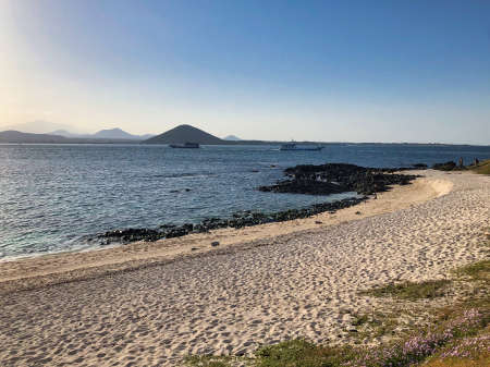 lovely landscape beach with nice sun and white sandの写真素材