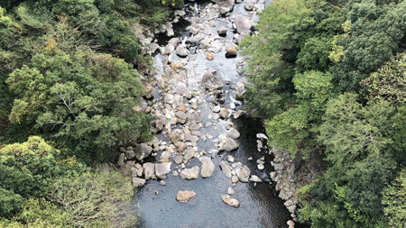 areal view of beautiful landscape in south korea with green forest, rocks, water and temple in the...