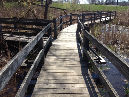 High angle bridge over water at parkの写真素材
