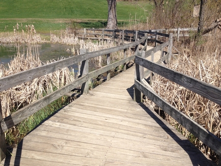 Wooden bridge leading over waterの写真素材