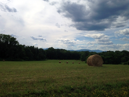 Open field on a farm with rolling hills and crops.の写真素材