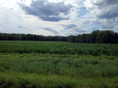 Open field on a farm with rolling hills and crops.の写真素材