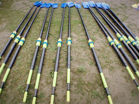 Oars before a crew raceの写真素材