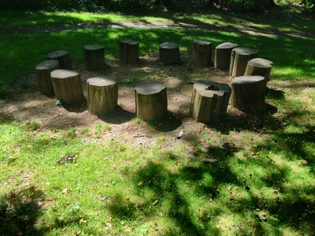 Log stumps in a circle in the woods surrounded by grassの写真素材