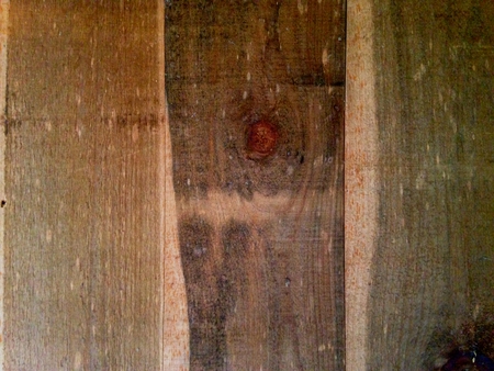 Hardwood wall with grain and knots in boardsの写真素材