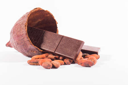 Ecuadorian chocolate bonbons with fine arona cocoa