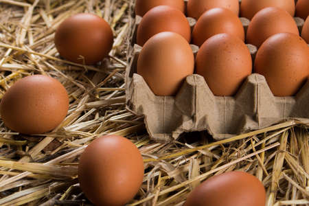 Basket of organic eggs grown in Ecuador