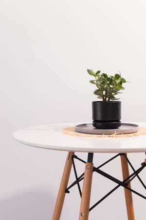Living room decoration in the minimalist and Nordic style, with flowers and still life