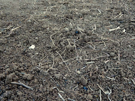 Texture of dry and dehydrated ground surface. Idea and natural concept
