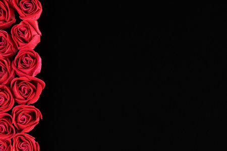 Valentine's Day - two rows of red roses on the left side and a black backgroundの写真素材