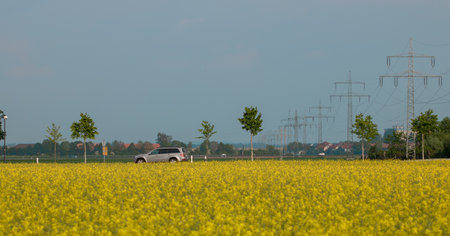 A silver car in nature on small street with power lines on the rightの写真素材