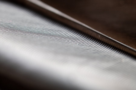 A close-up look on a brown feather with nice texture - macro shootの写真素材