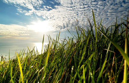 blue skyの写真素材