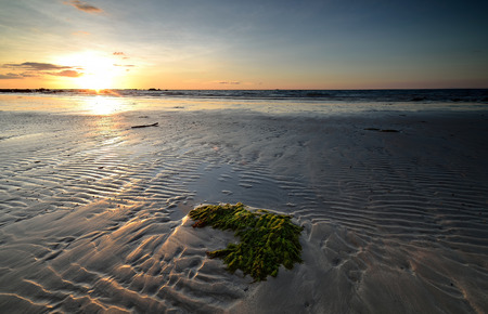 sunsetの写真素材