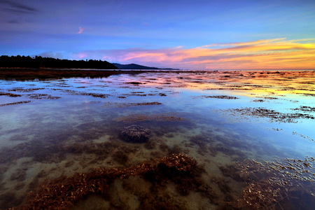 beautiful sunset in sabah borneoの写真素材