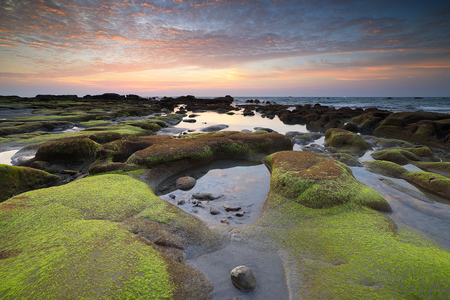 Boulders covered by green moss at Terongkongan Sabah Malaysia. This place is a new main attraction to the local and international tourist.の写真素材