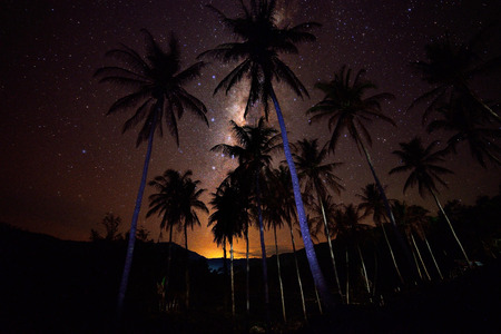 Beautiful Milky way, Amazing Milky Way galaxy at Borneo, The Milky way, Long exposure photograph, with grain. Image contain certain grain or noise and soft focus.の写真素材