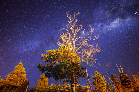 dark night sky with many stars. Milky way on the space backgroundの写真素材