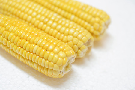 Corn on white backgroundの写真素材
