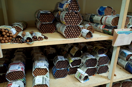 25TH AUGUST, 2014, ESTELI, NICARAGUA - Prepared cigars Inside a cigar factory in Esteli in the northern mountains of Nicaraguaのeditorial素材
