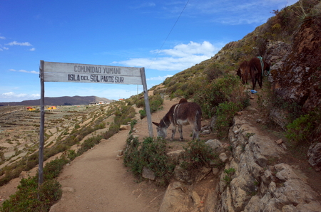 A hiking trail through the Isla Del Sol on Lake Titicacaの写真素材