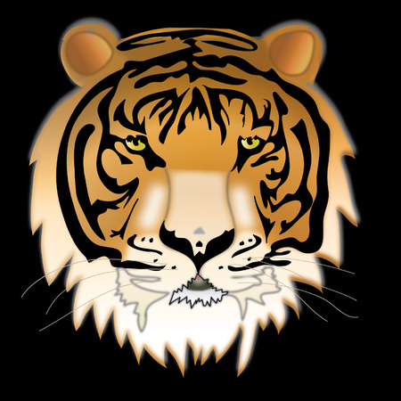 Wild thing. Siberian tiger.のイラスト素材