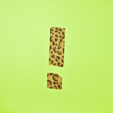 wild animals protection concept の写真素材