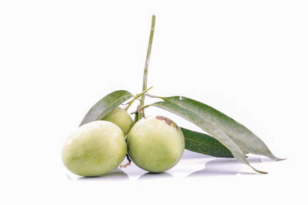 green mango on white background