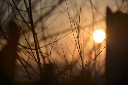 Sunsetの写真素材