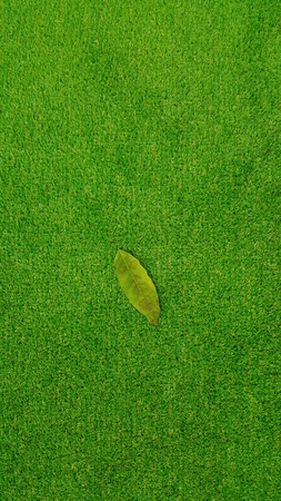 artificial grass,background and textureの写真素材