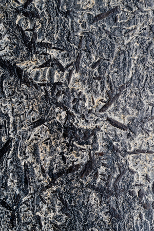 Textured stone surface, creative, strange on stone.の写真素材