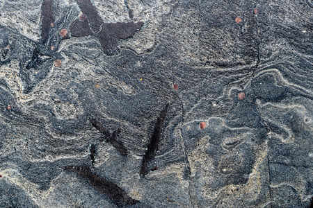 Textured stone surface, creative, strange on stone.の写真素材