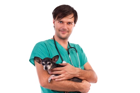   Portrait of a veterinarian doctor holding a chihuahua dog isolated on whiteの写真素材