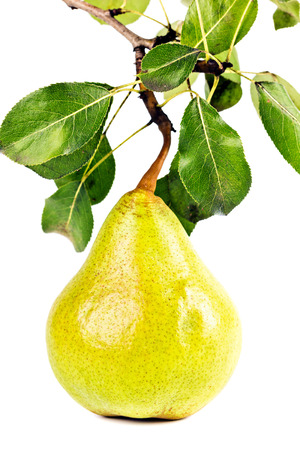 Pear isolated on white の写真素材
