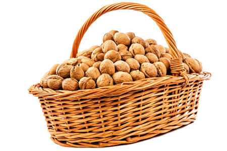 Walnuts in wicker basket isolated on white の写真素材