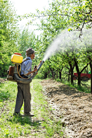 Old farmer spraying the trees with chemicals の写真素材