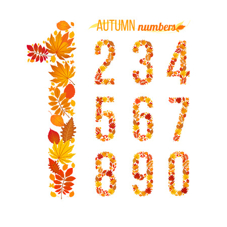 autumn numbers. vector illustration. part of collection. good for your designのイラスト素材