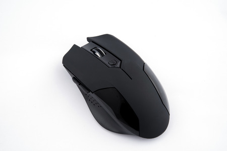 mouse