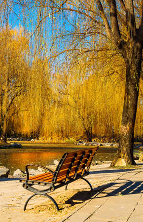 bench in parkの写真素材