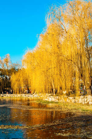 natural sceneryの写真素材