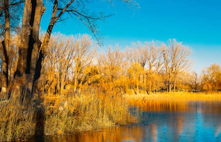 natural sceneryの写真素材