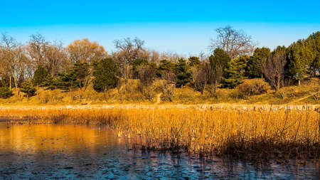 natural sceneryの写真素材