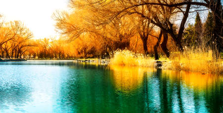 autumn lake sceneryの写真素材