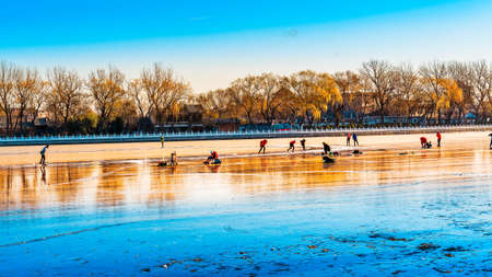 Landscape view of a park in China during winterの写真素材