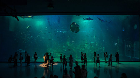 People looking at the big aquarium
