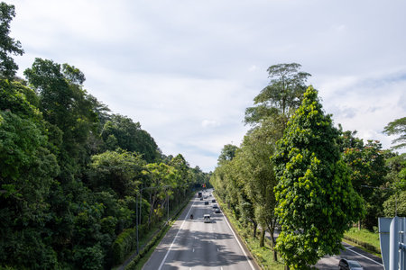 Lush green trees line a wide asphalt road. Sky shows soft clouds above the trees. Vehicles travel...