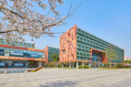 Spring color of cherry blossoms and modern buildingのeditorial素材
