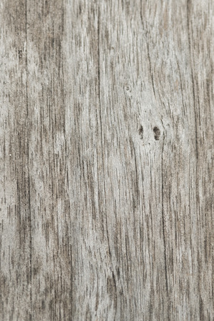 Wood Textureの写真素材