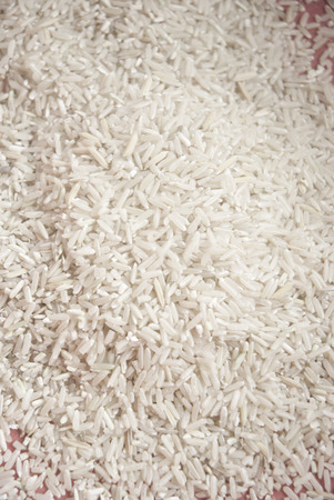 riceの写真素材